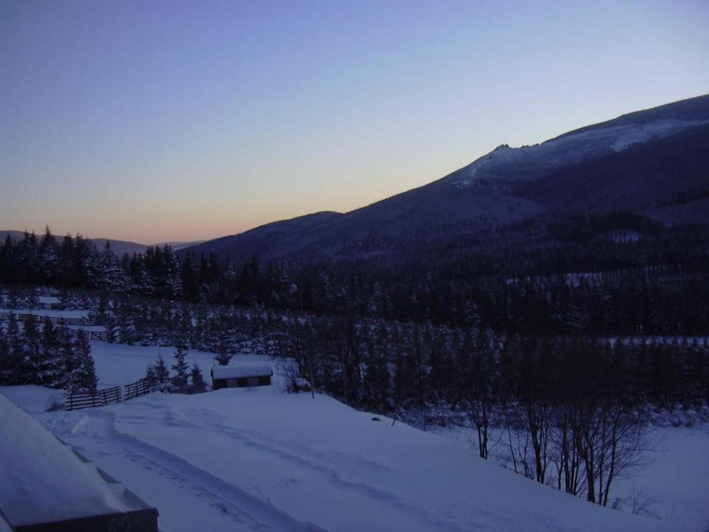 Apartman Ašek room 4